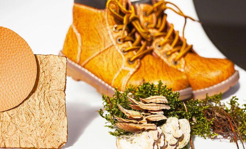 Biodegradable Beauties for Eco-Warriors
