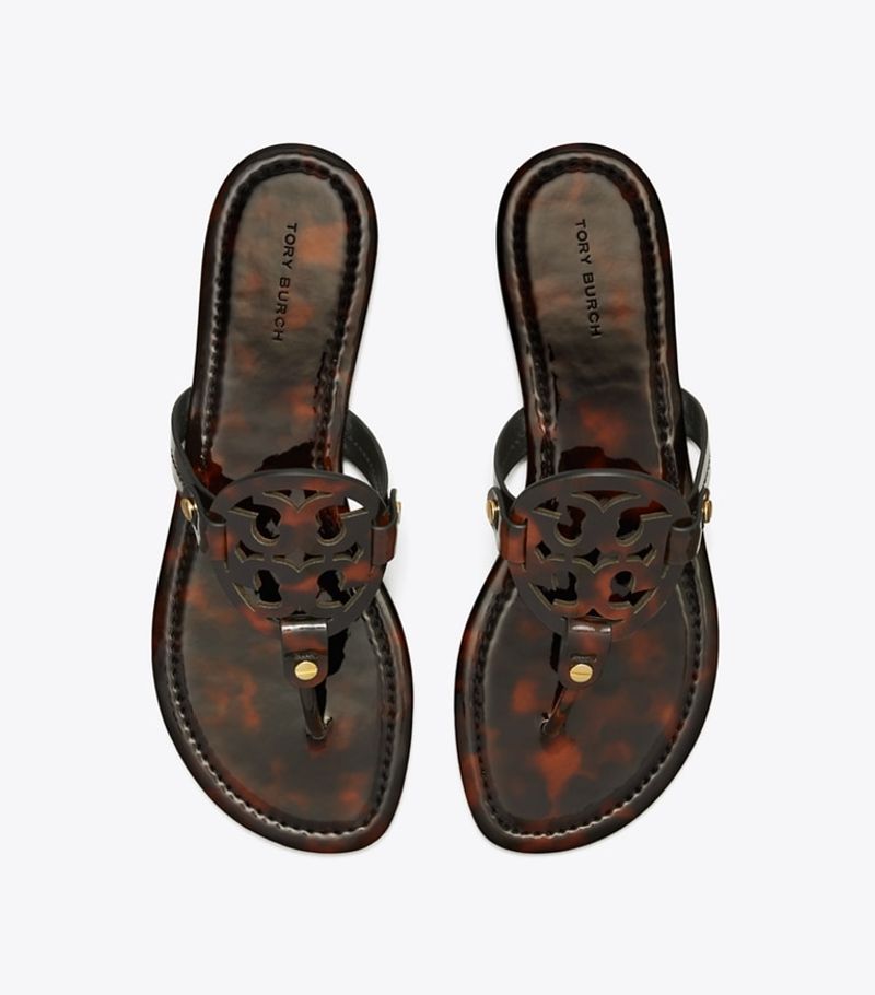 Tortoiseshell Sophistication