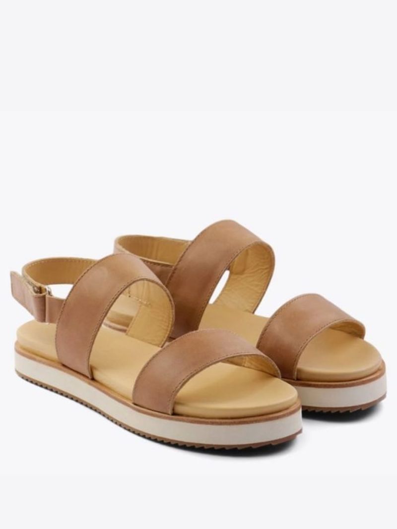 Biodegradable Bamboo Platforms That Actually Compost