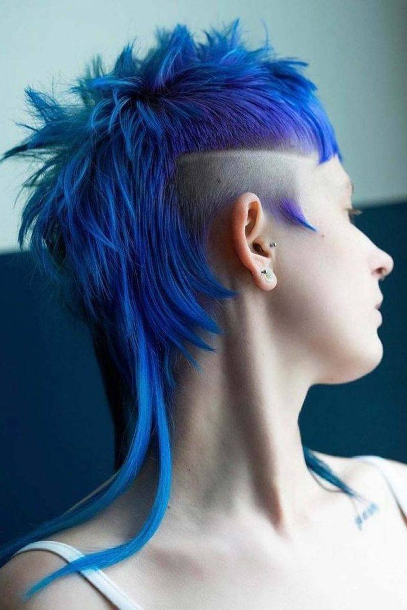 La principessa punk