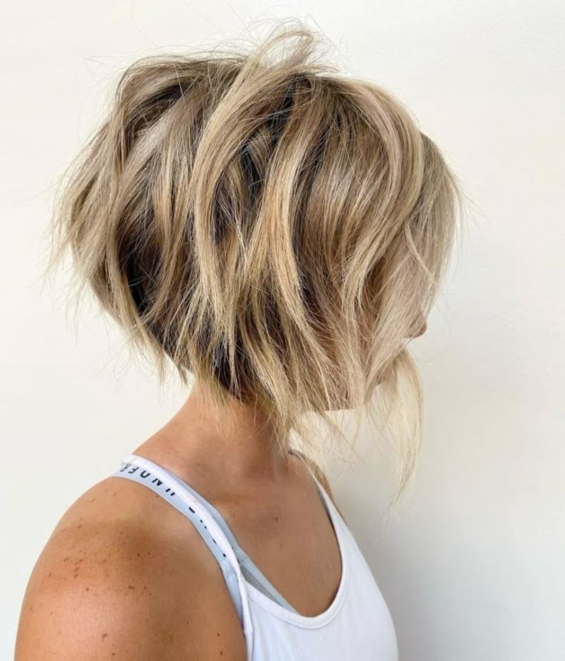 Il Bob a pelo corto