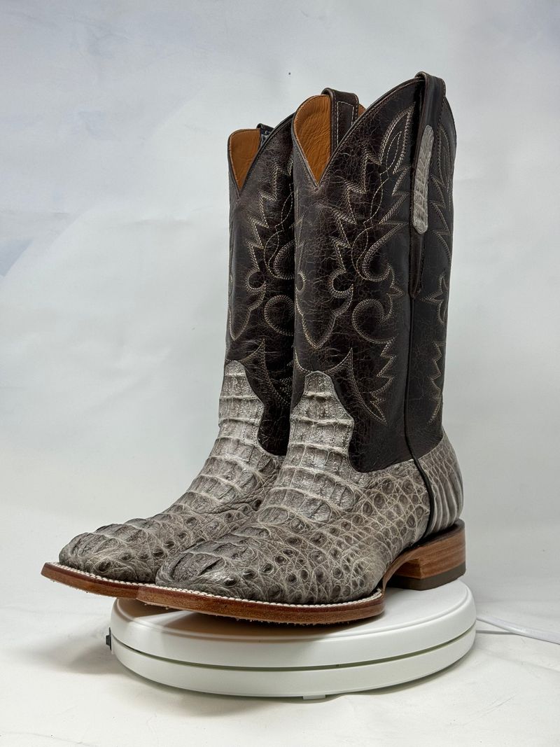 The Caiman Cavalier