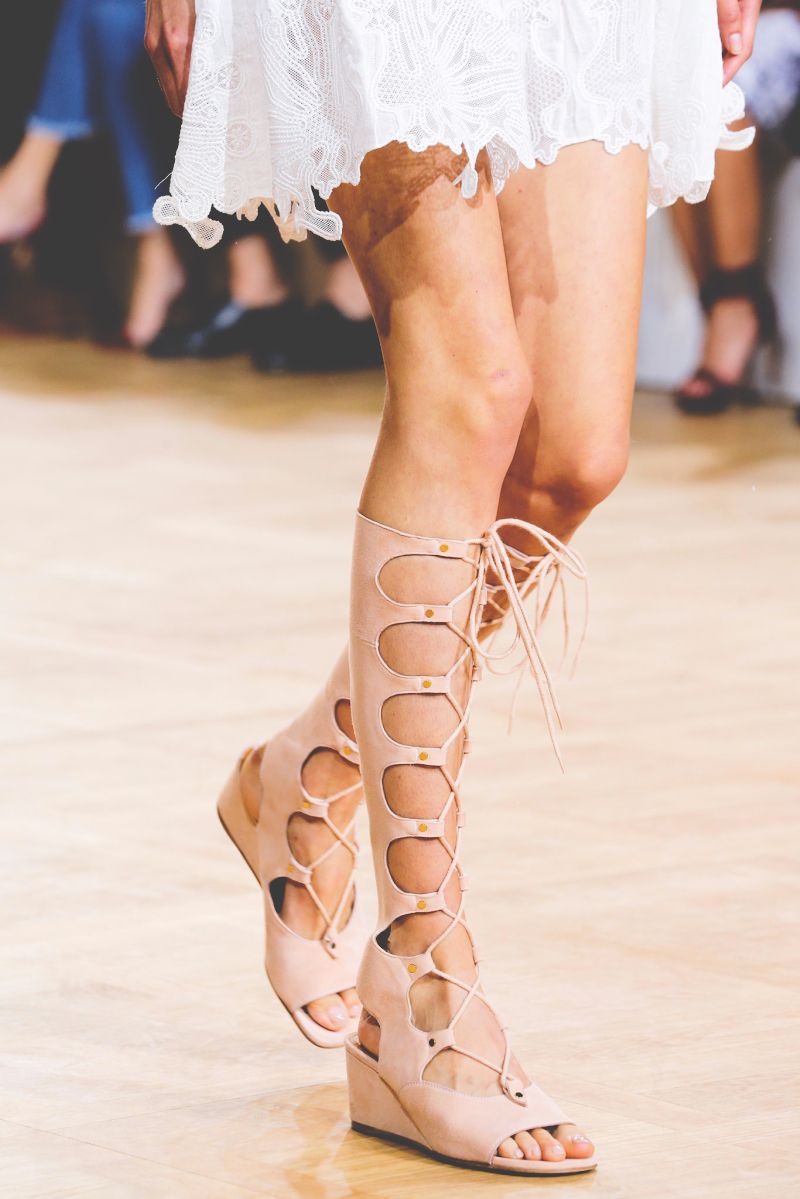 The Glamorous Gladiator