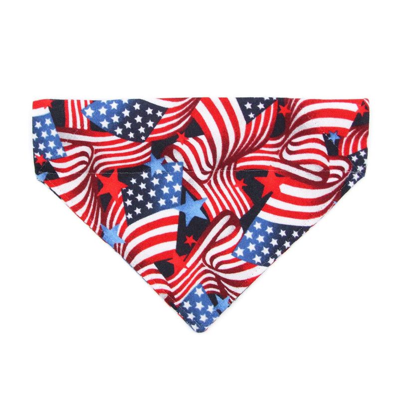 Flag-Themed Bandana