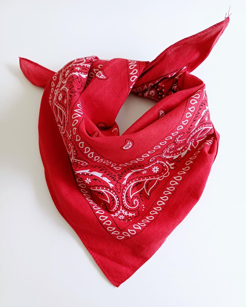 Red Bandana Scarf
