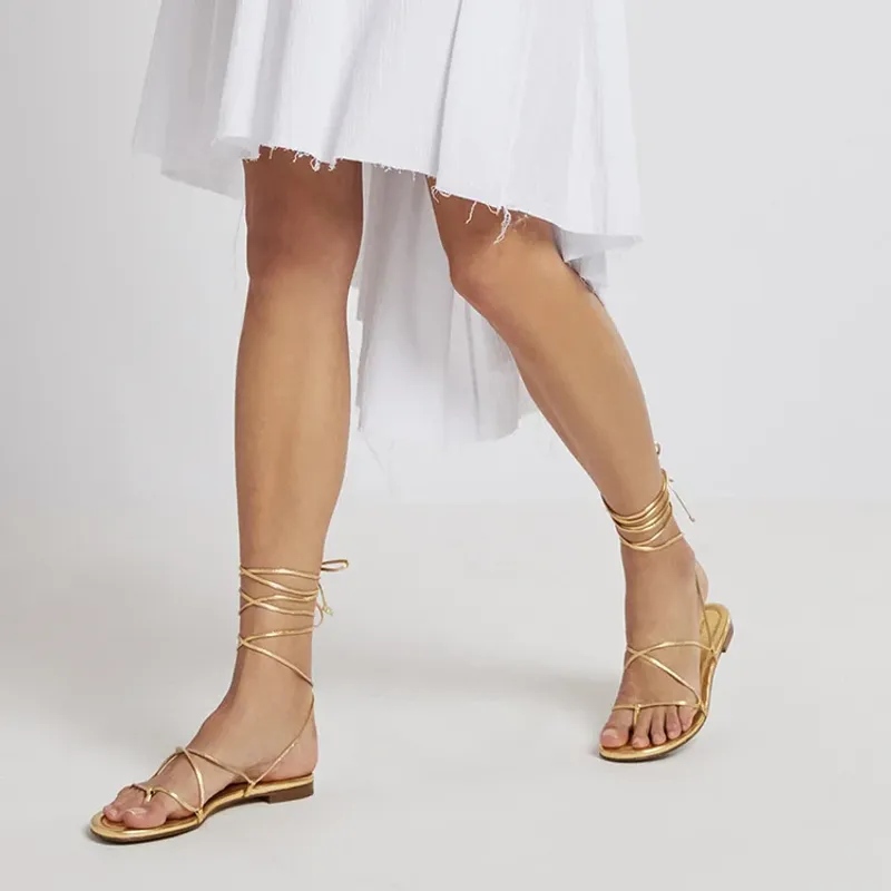 Gleaming Gladiators