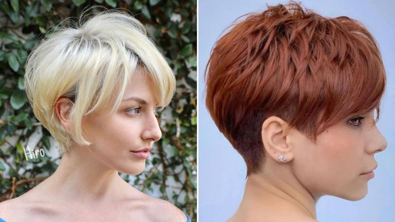 Feathered Pixie